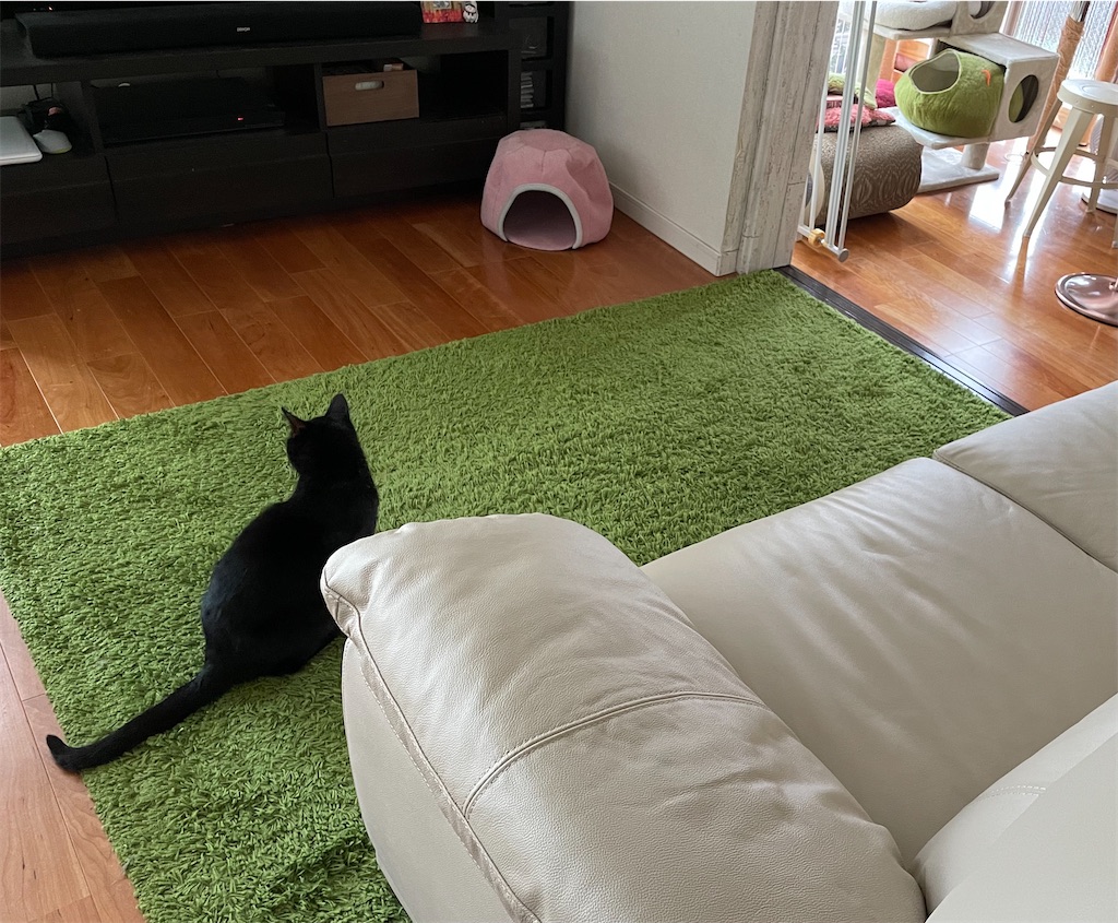 f:id:hiraryo0201:20210905164304j:image