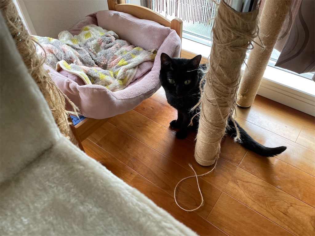 f:id:hiraryo0201:20210905164516j:image