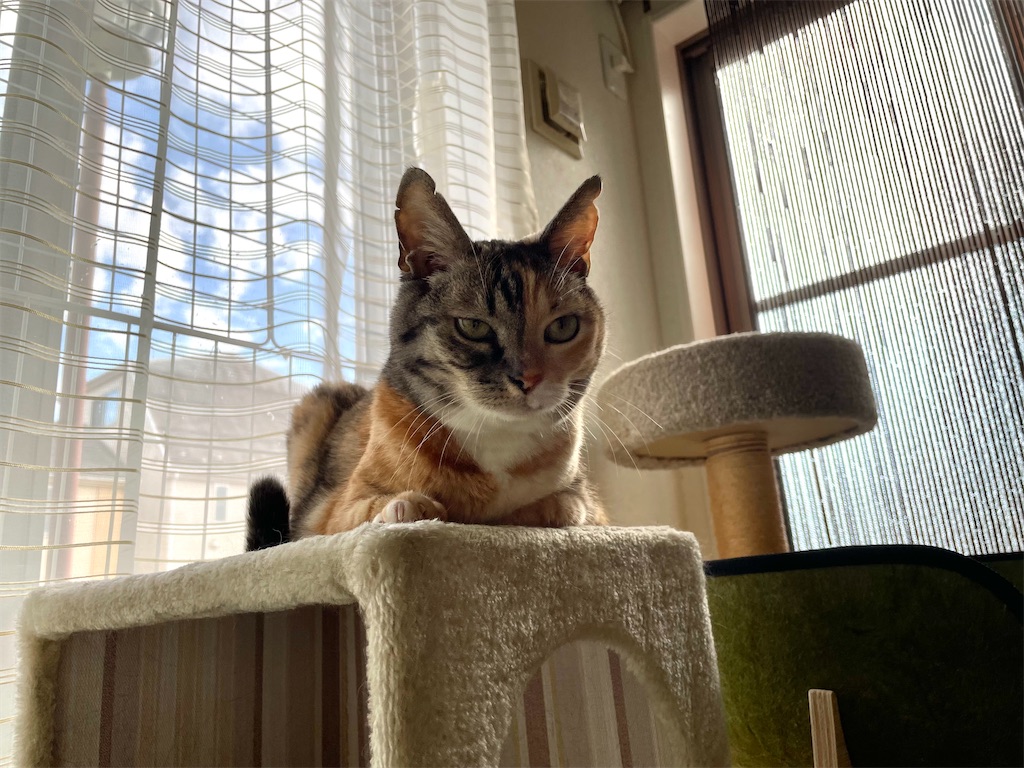 f:id:hiraryo0201:20210905164520j:image