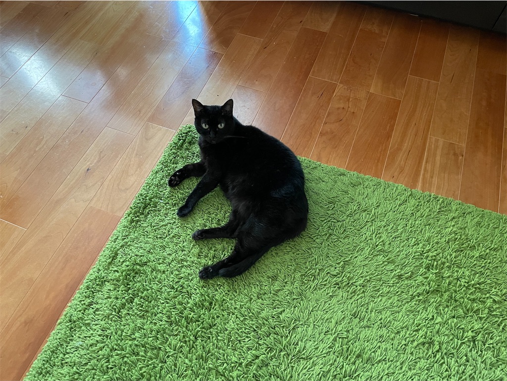 f:id:hiraryo0201:20210905164719j:image