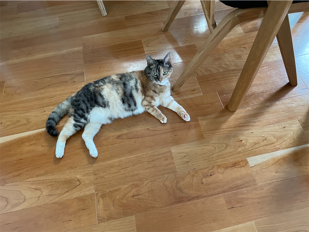 f:id:hiraryo0201:20210905164721j:image