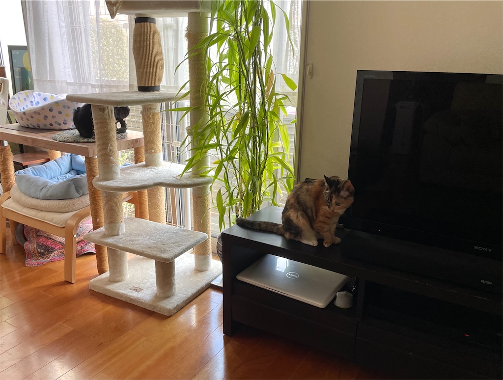 f:id:hiraryo0201:20210905180302j:image