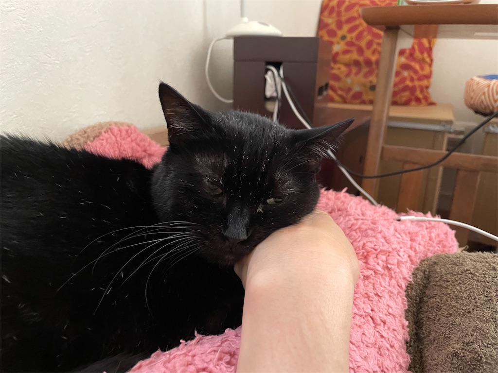 f:id:hiraryo0201:20210908185236j:image f:id:hiraryo0201:20210908185236j:image