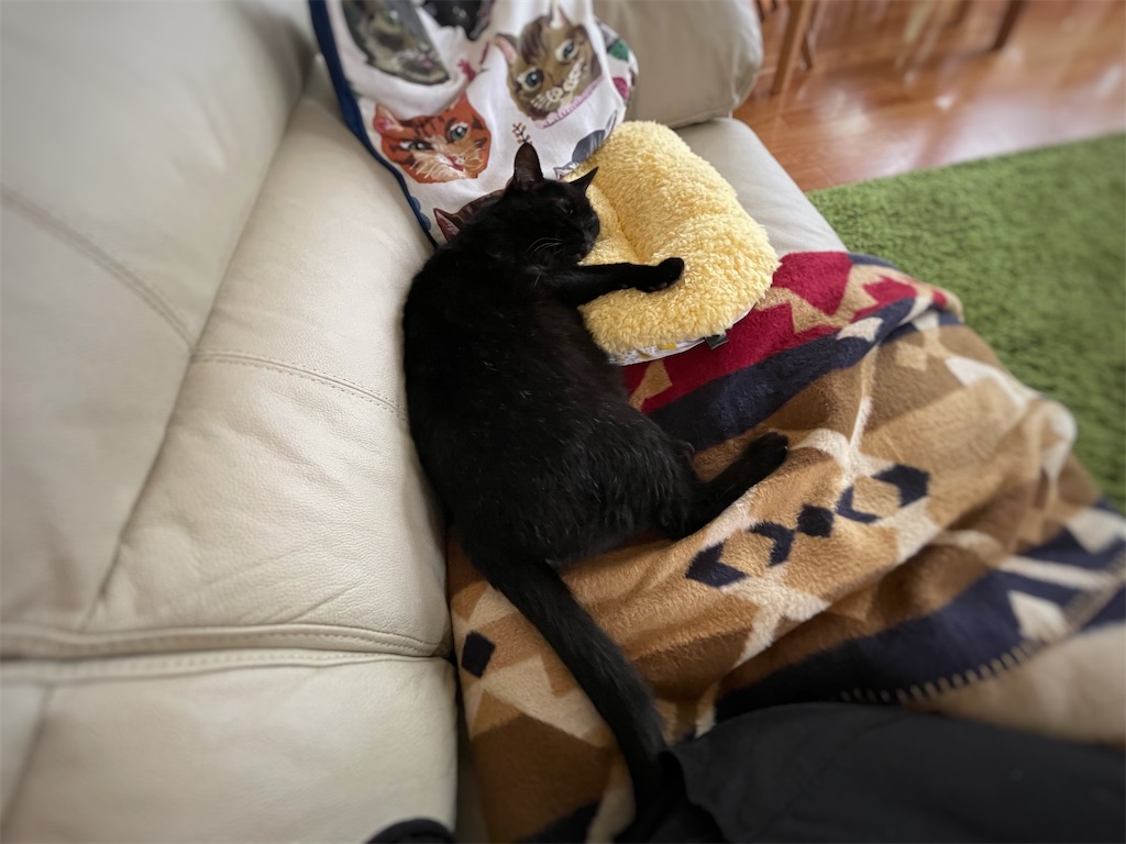 f:id:hiraryo0201:20210911154105j:image f:id:hiraryo0201:20210911154105j:image