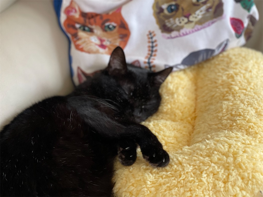 f:id:hiraryo0201:20210911154108j:image f:id:hiraryo0201:20210911154108j:image