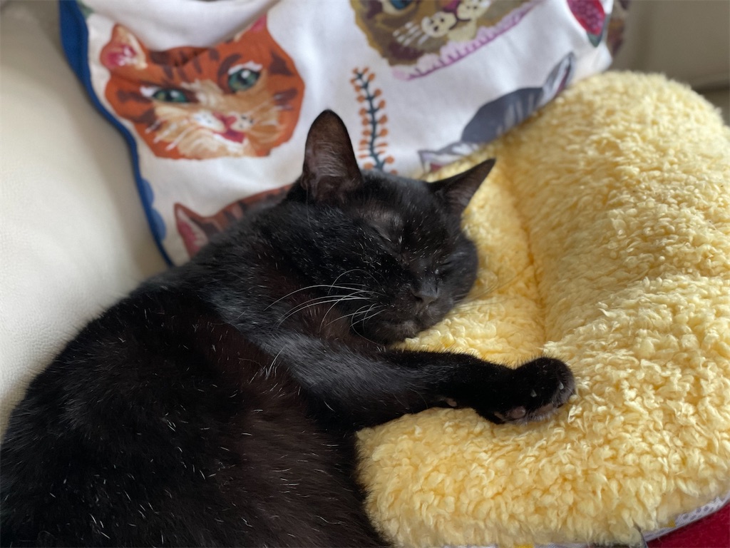 f:id:hiraryo0201:20210911154111j:image f:id:hiraryo0201:20210911154111j:image