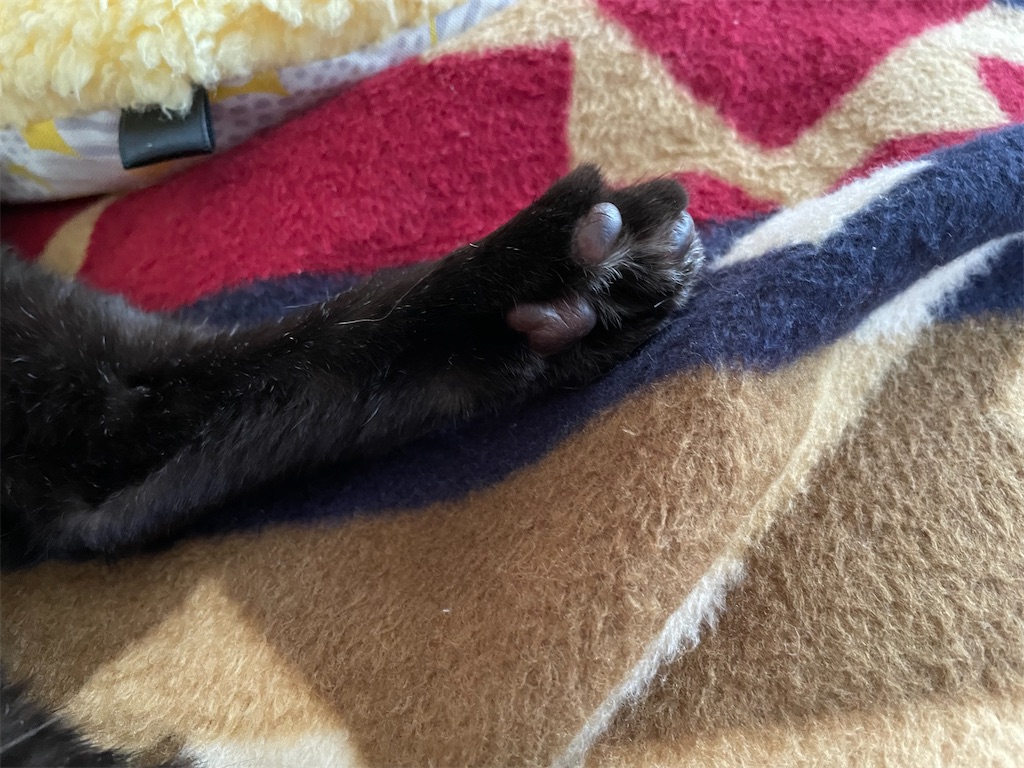 f:id:hiraryo0201:20210911154117j:image f:id:hiraryo0201:20210911154117j:image