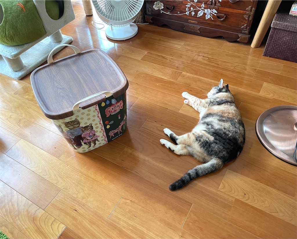 f:id:hiraryo0201:20210911200714j:image f:id:hiraryo0201:20210911200714j:image