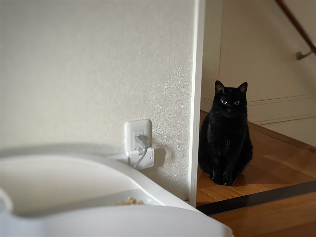 f:id:hiraryo0201:20210911215000j:image f:id:hiraryo0201:20210911215000j:image