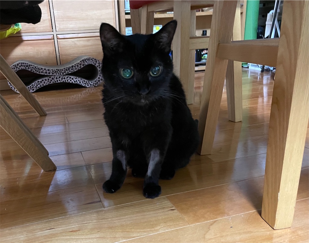 f:id:hiraryo0201:20210918164048j:image f:id:hiraryo0201:20210918164048j:image