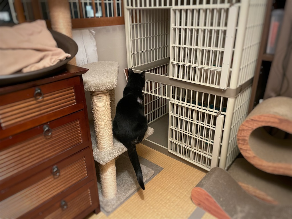 f:id:hiraryo0201:20210918164050j:image f:id:hiraryo0201:20210918164050j:image