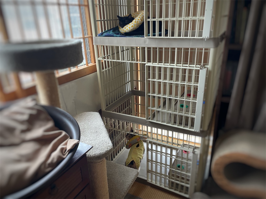 f:id:hiraryo0201:20210918180647j:image f:id:hiraryo0201:20210918180647j:image