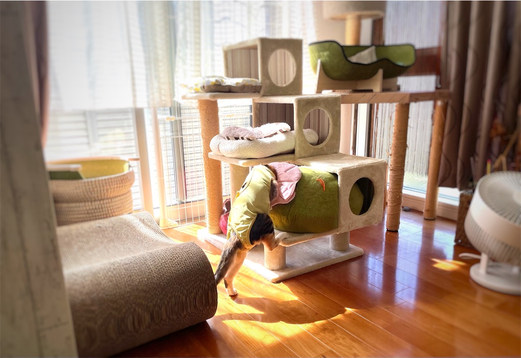 f:id:hiraryo0201:20210920105544j:image f:id:hiraryo0201:20210920105544j:image