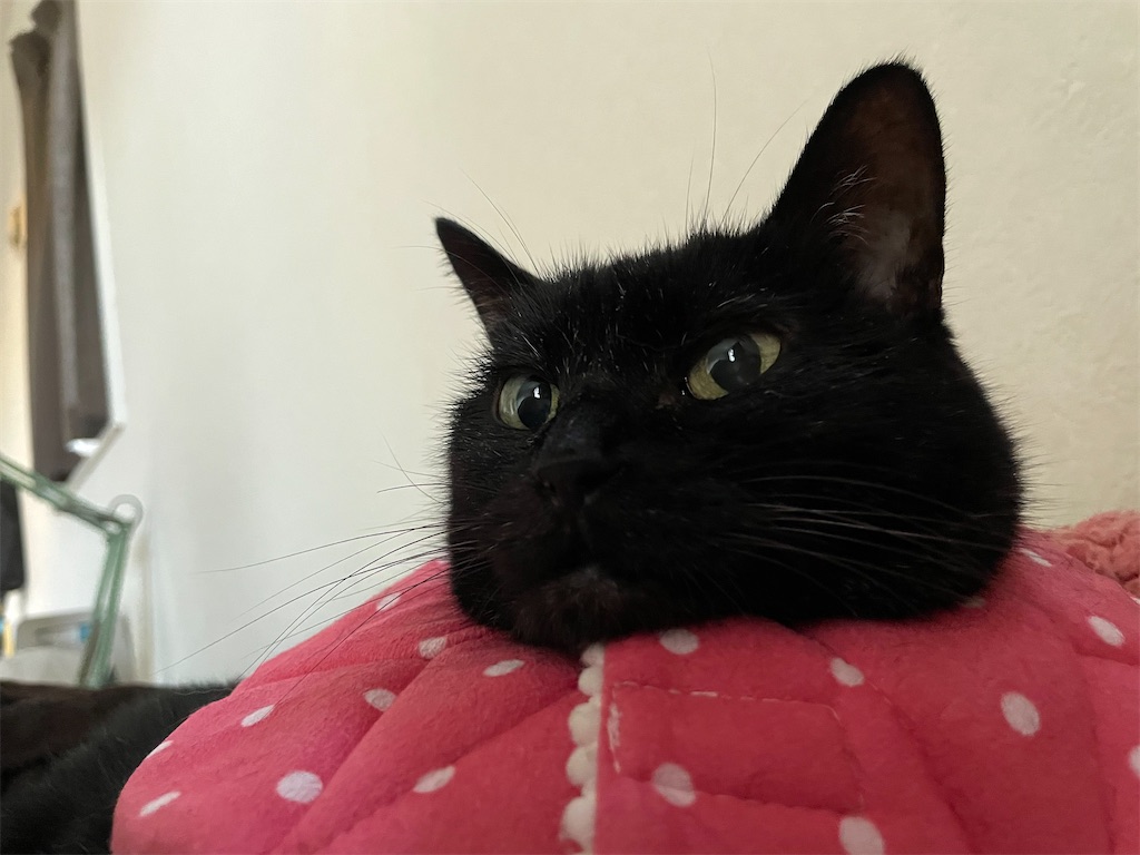 f:id:hiraryo0201:20210924182758j:image f:id:hiraryo0201:20210924182758j:image