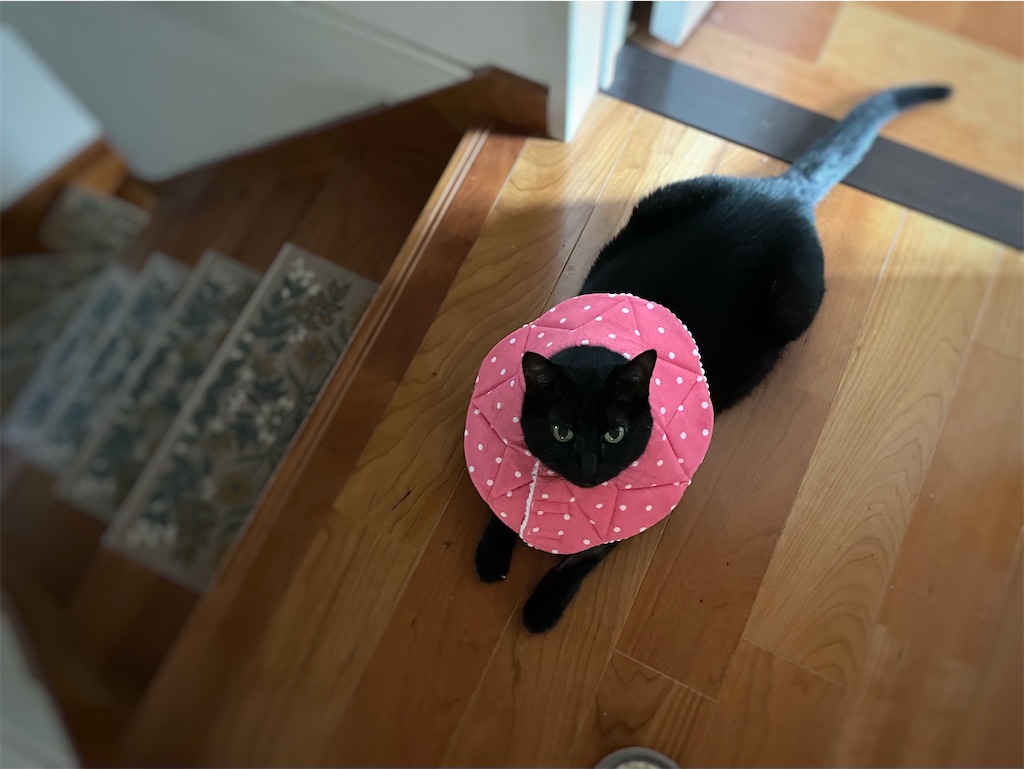 f:id:hiraryo0201:20210924182931j:image f:id:hiraryo0201:20210924182931j:image