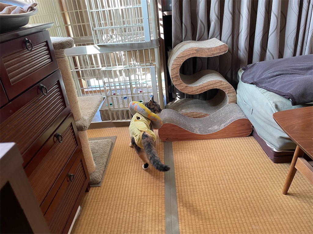 f:id:hiraryo0201:20210924185918j:image