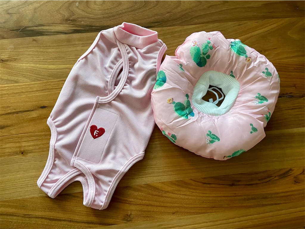 f:id:hiraryo0201:20210926123838j:image