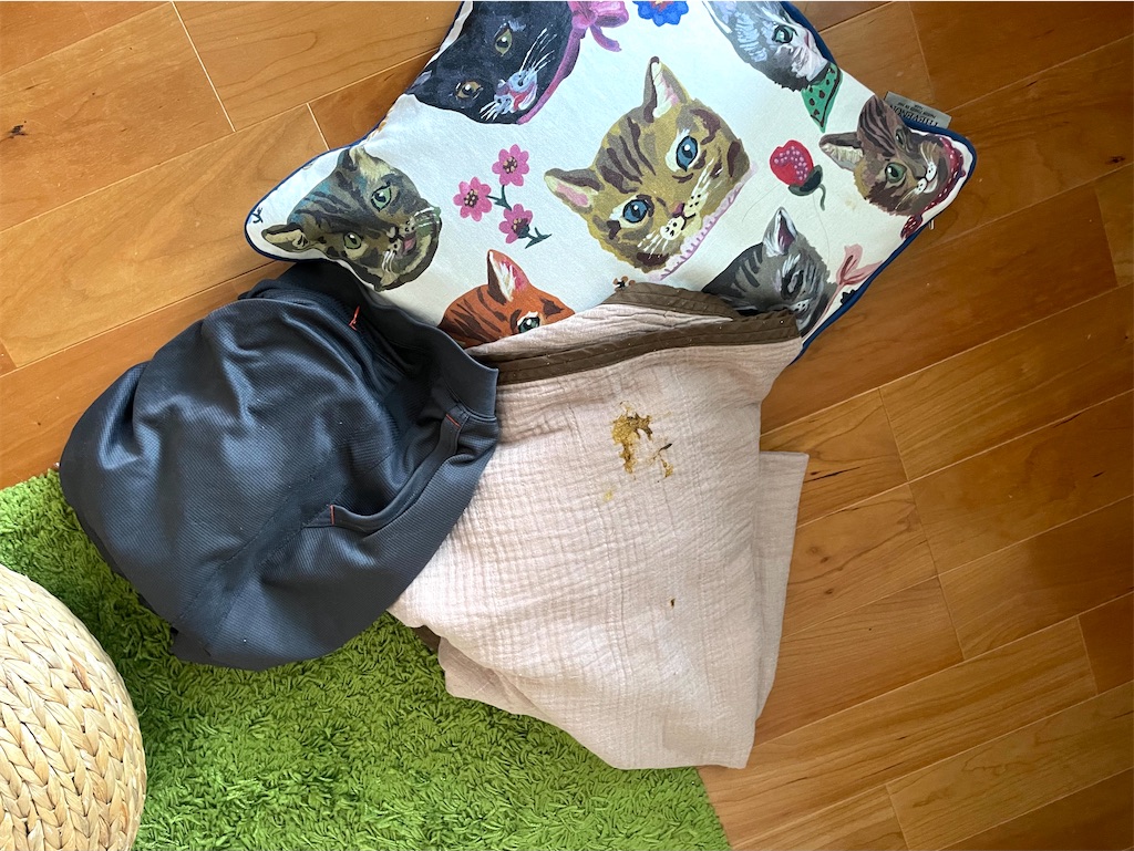f:id:hiraryo0201:20210929163430j:image