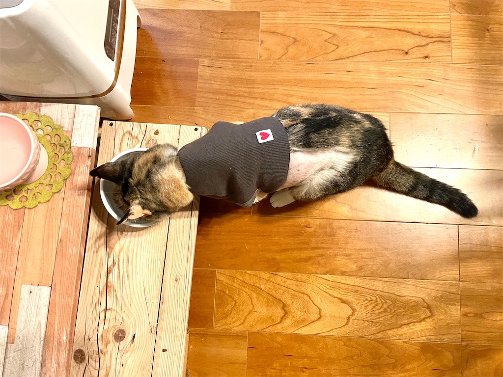 f:id:hiraryo0201:20211001172130j:image f:id:hiraryo0201:20211001172130j:image