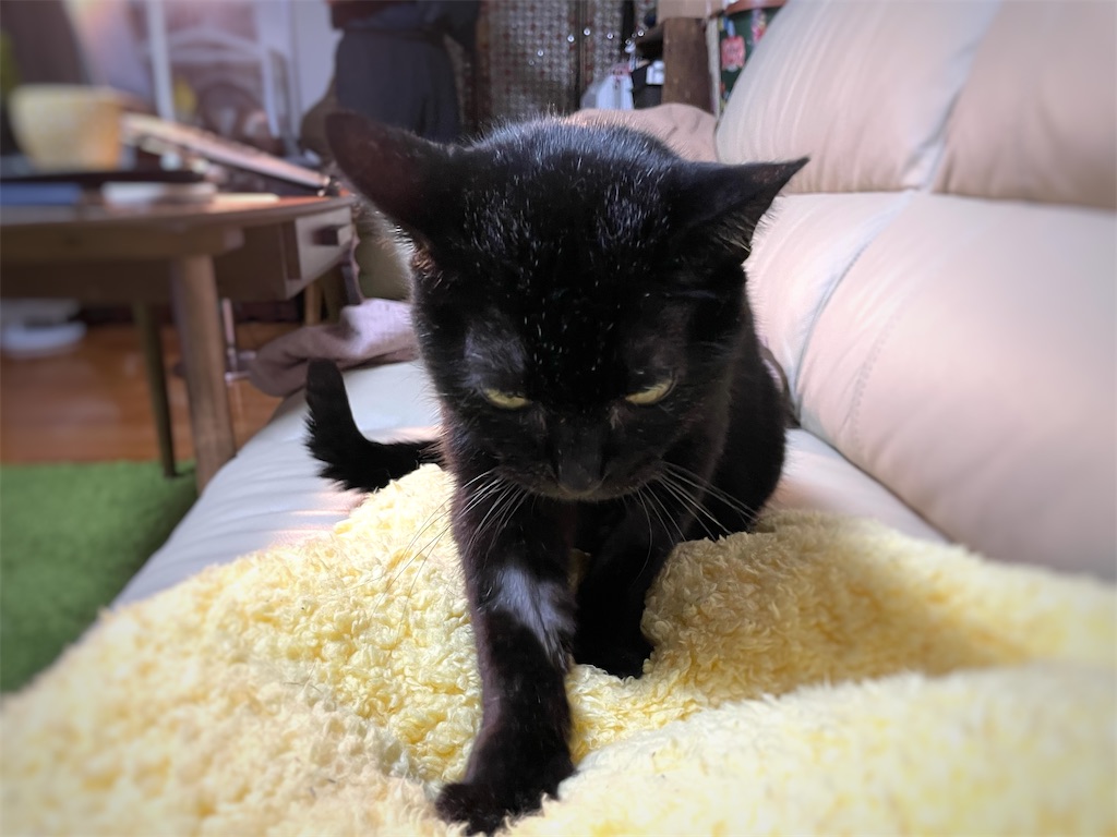 f:id:hiraryo0201:20211002134510j:plain