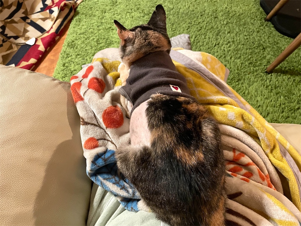 f:id:hiraryo0201:20211002152831j:image f:id:hiraryo0201:20211002152831j:image