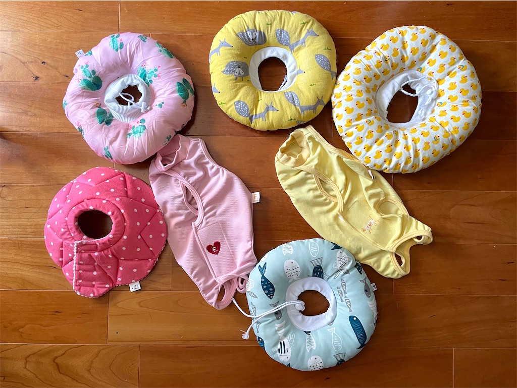 f:id:hiraryo0201:20211003101721j:image f:id:hiraryo0201:20211003101721j:image