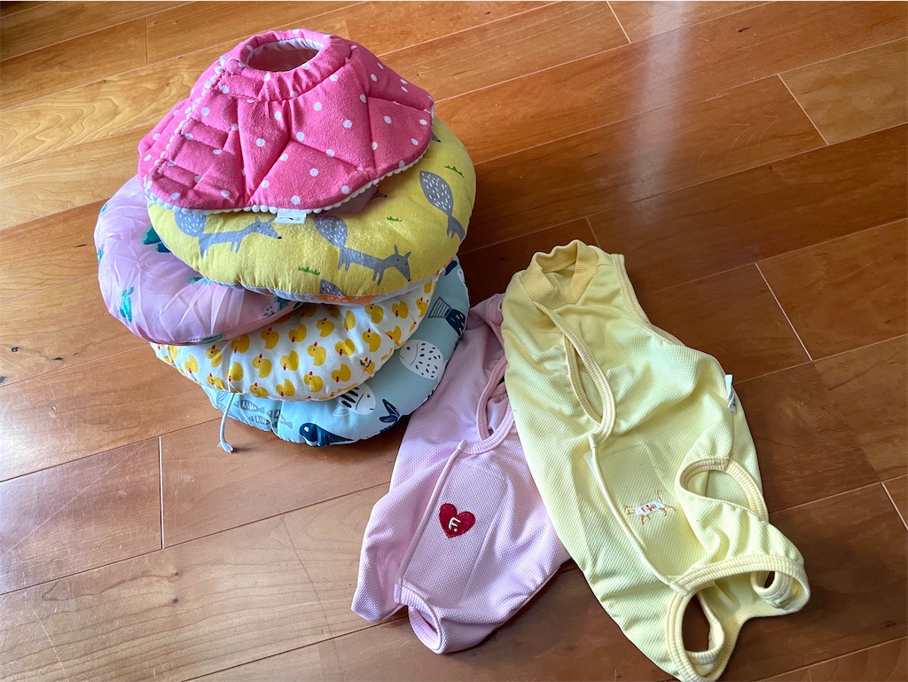 f:id:hiraryo0201:20211003101725j:image f:id:hiraryo0201:20211003101725j:image