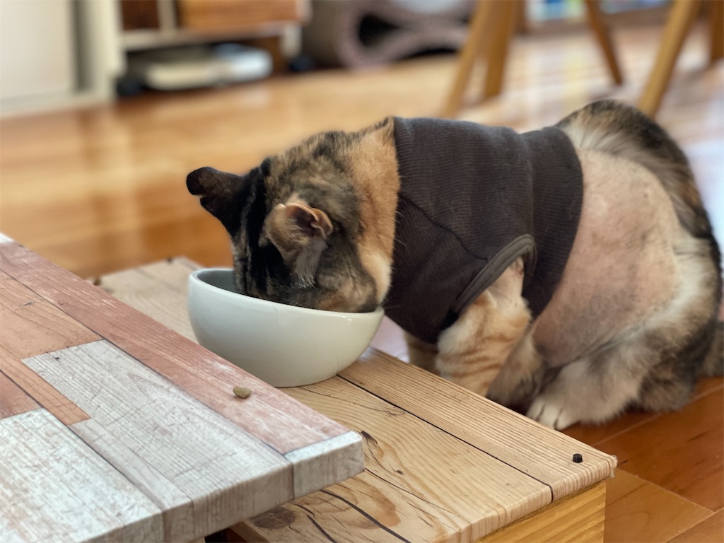 f:id:hiraryo0201:20211004151213j:image f:id:hiraryo0201:20211004151213j:image