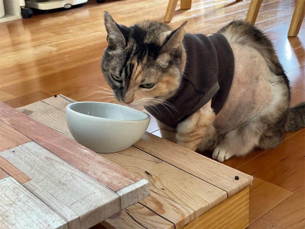 f:id:hiraryo0201:20211004151232j:image f:id:hiraryo0201:20211004151232j:image