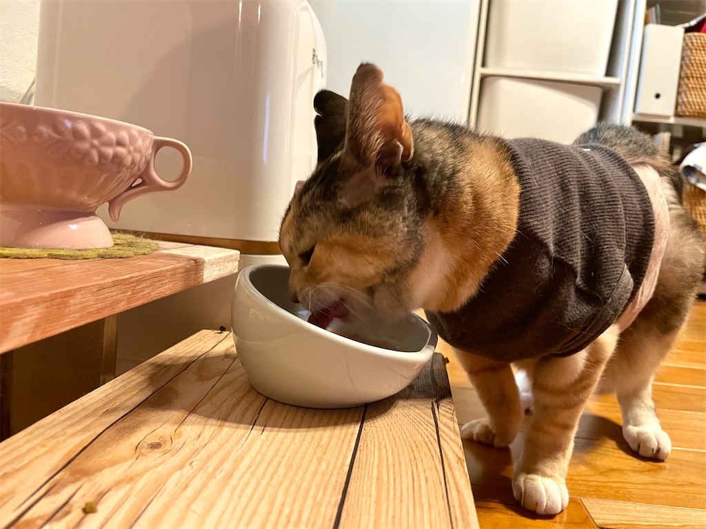 f:id:hiraryo0201:20211007215606j:image f:id:hiraryo0201:20211007215606j:image