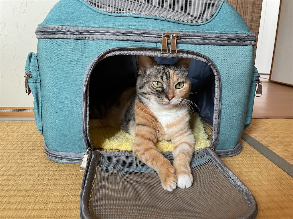 f:id:hiraryo0201:20211008220013j:image