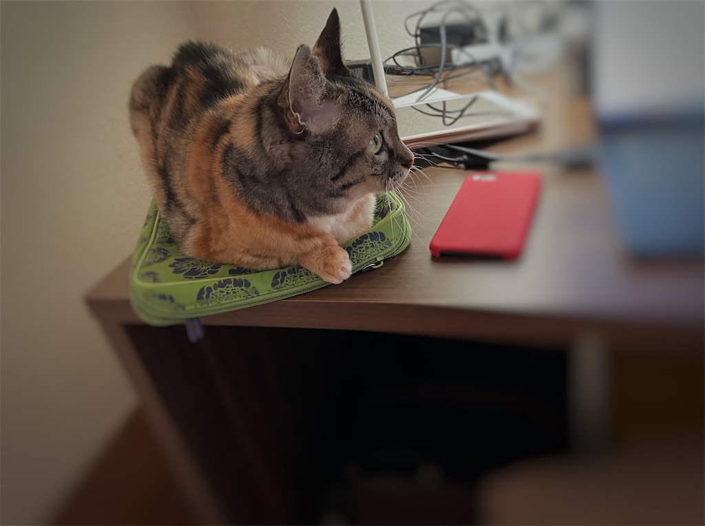 f:id:hiraryo0201:20211008220228j:image