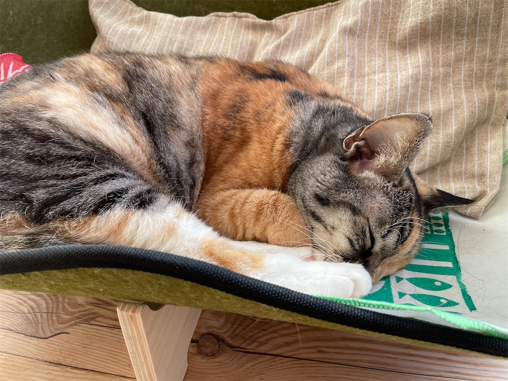 f:id:hiraryo0201:20211113020138j:image f:id:hiraryo0201:20211113020138j:image