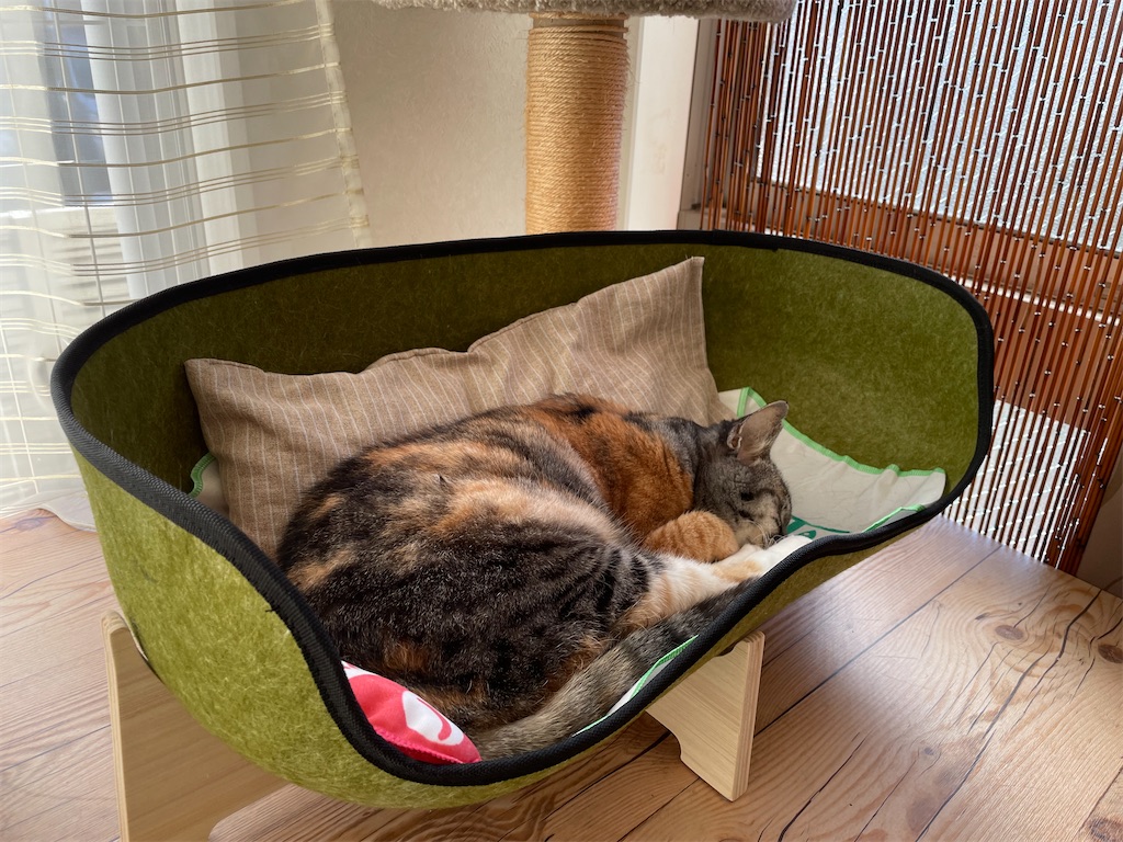 f:id:hiraryo0201:20211113020141j:image f:id:hiraryo0201:20211113020141j:image