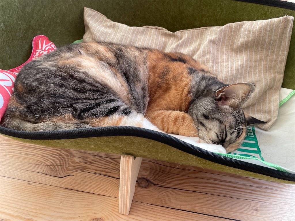 f:id:hiraryo0201:20211113020144j:image f:id:hiraryo0201:20211113020144j:image