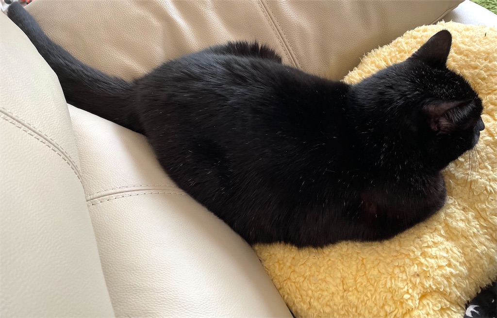 f:id:hiraryo0201:20211114094742j:image