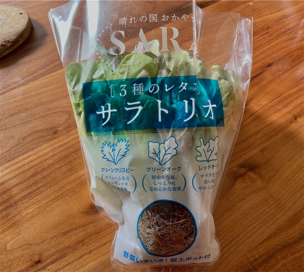 f:id:hiraryo0201:20211114094749j:image