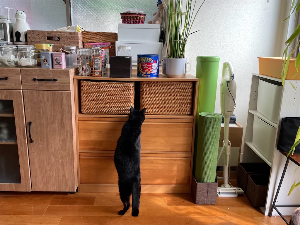 f:id:hiraryo0201:20211114160927j:image