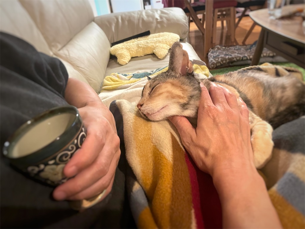 f:id:hiraryo0201:20211114194033j:image