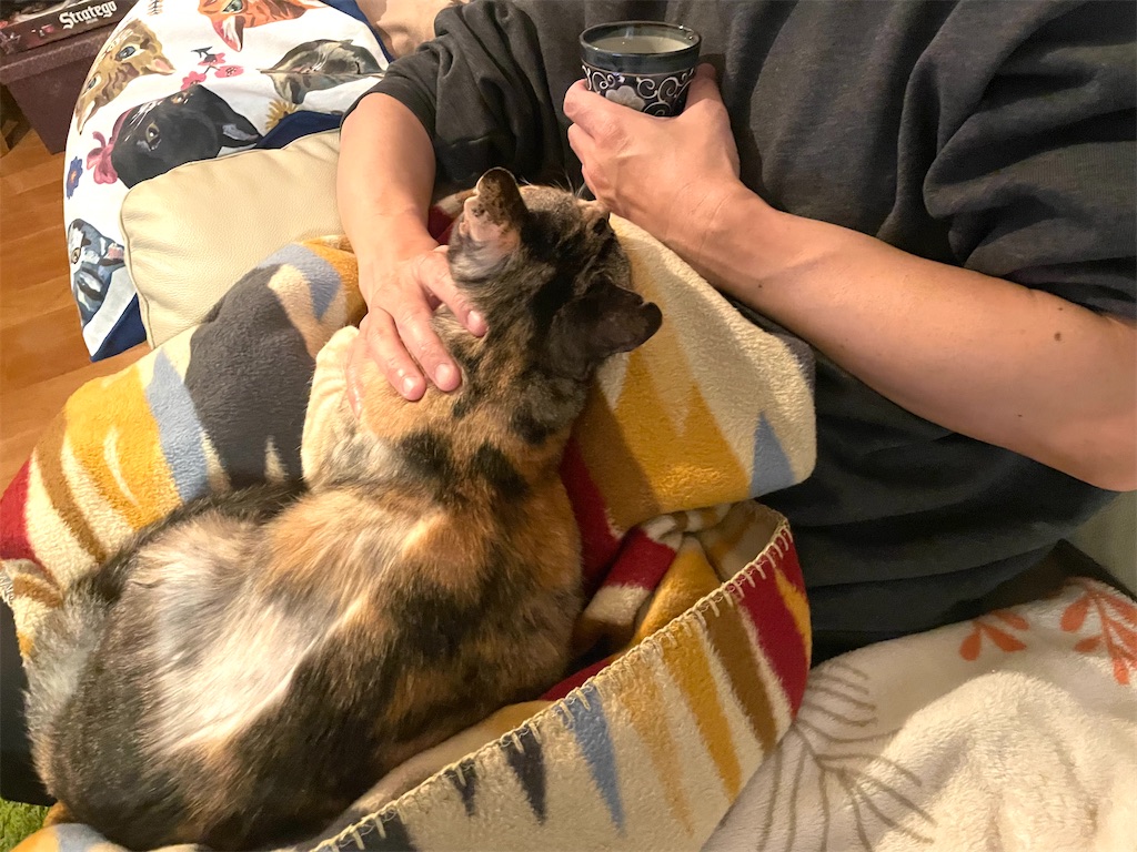 f:id:hiraryo0201:20211114194036j:image