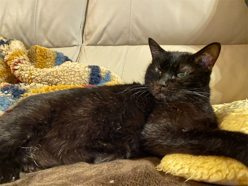 f:id:hiraryo0201:20211123221513j:image f:id:hiraryo0201:20211123221513j:image