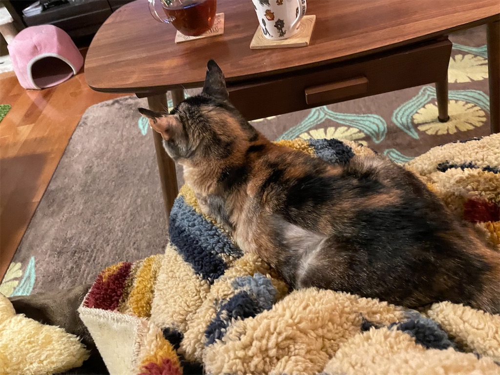 f:id:hiraryo0201:20211128113445j:image f:id:hiraryo0201:20211128113445j:image