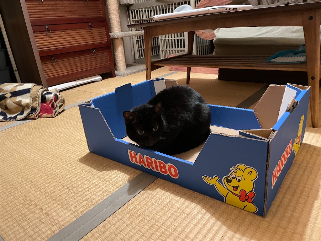 f:id:hiraryo0201:20211204083651j:image f:id:hiraryo0201:20211204083651j:image