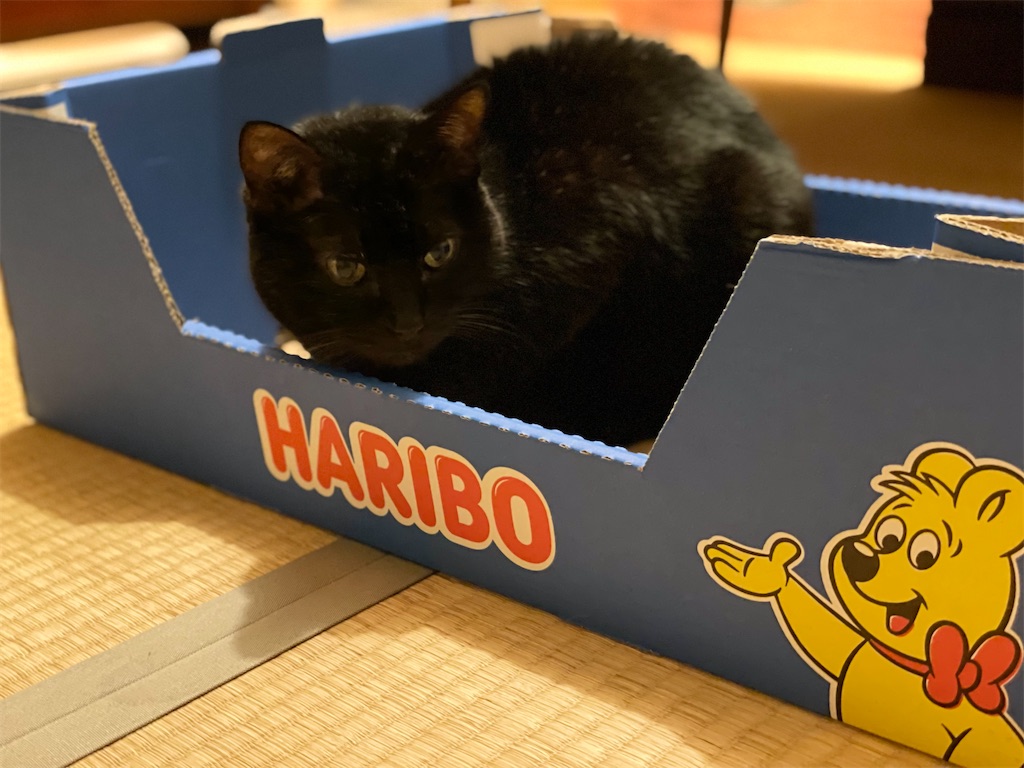 f:id:hiraryo0201:20211204083656j:image f:id:hiraryo0201:20211204083656j:image