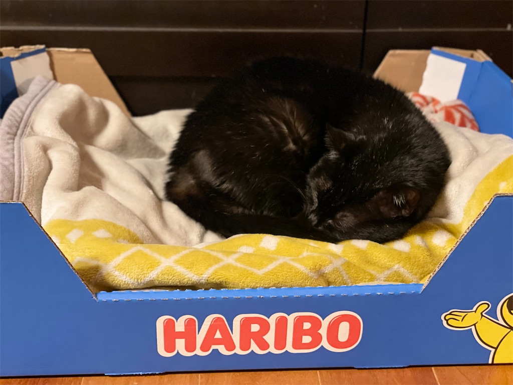 f:id:hiraryo0201:20211204083703j:image f:id:hiraryo0201:20211204083703j:image