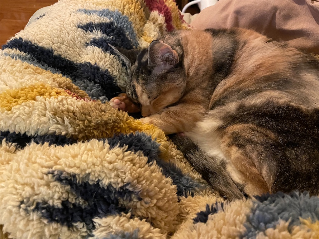 f:id:hiraryo0201:20211204083706j:image f:id:hiraryo0201:20211204083706j:image