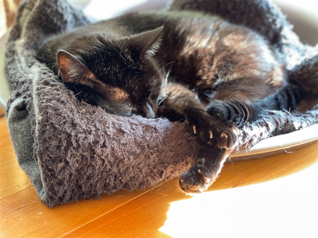 f:id:hiraryo0201:20211204113241j:image f:id:hiraryo0201:20211204113241j:image