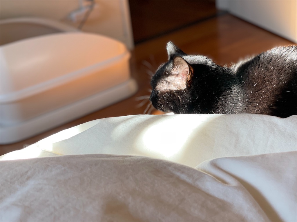 f:id:hiraryo0201:20211204113328j:image