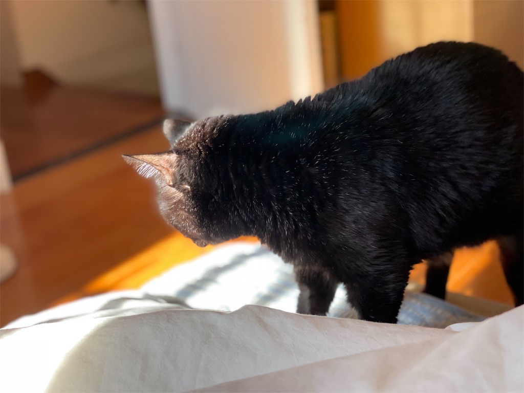 f:id:hiraryo0201:20211204113338j:image