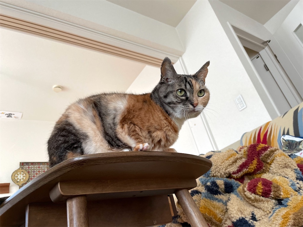 f:id:hiraryo0201:20211213073649j:image f:id:hiraryo0201:20211213073649j:image